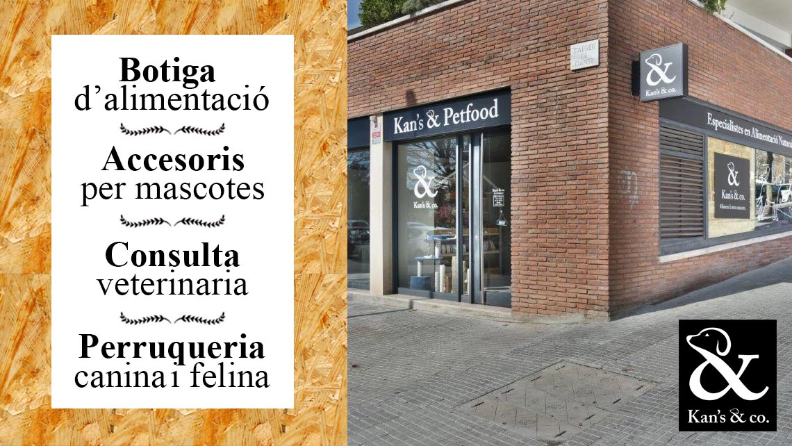 Gestió de xarxes socials per a Kans & Co