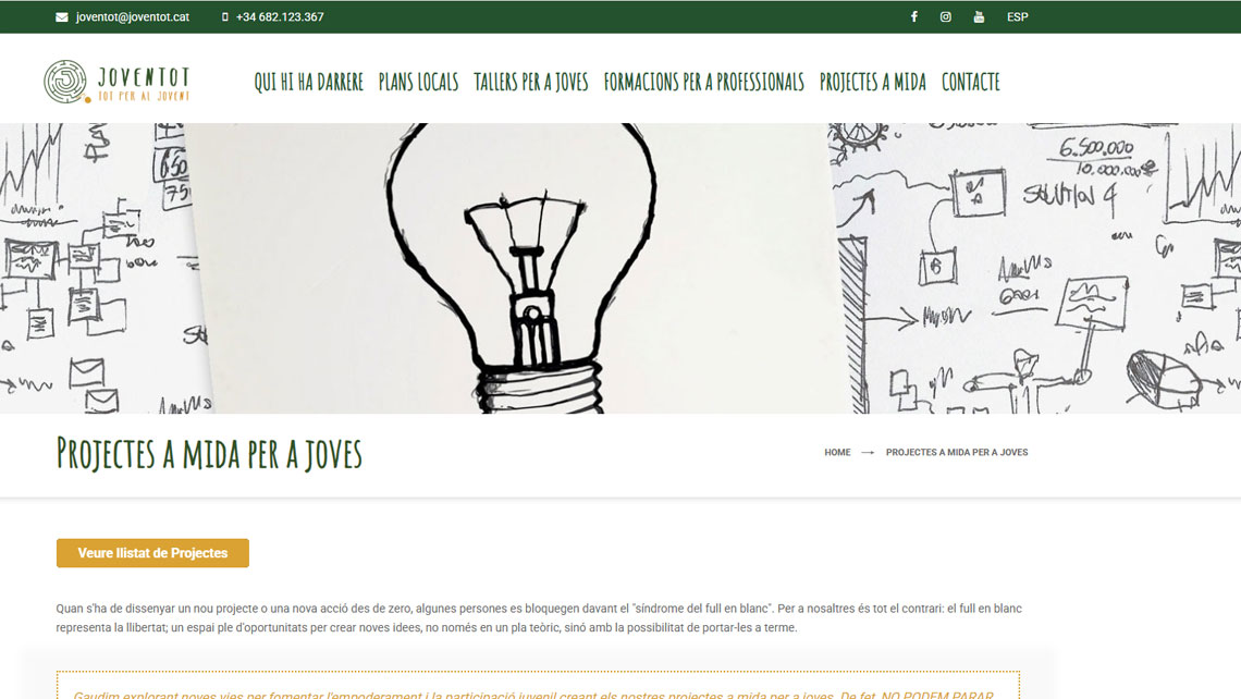 Disseny web per a Joventot